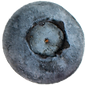 Materra products-Açaí puree premium_blueberry_2