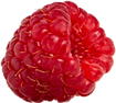 Materra products-Açaí puree premium_raspberry