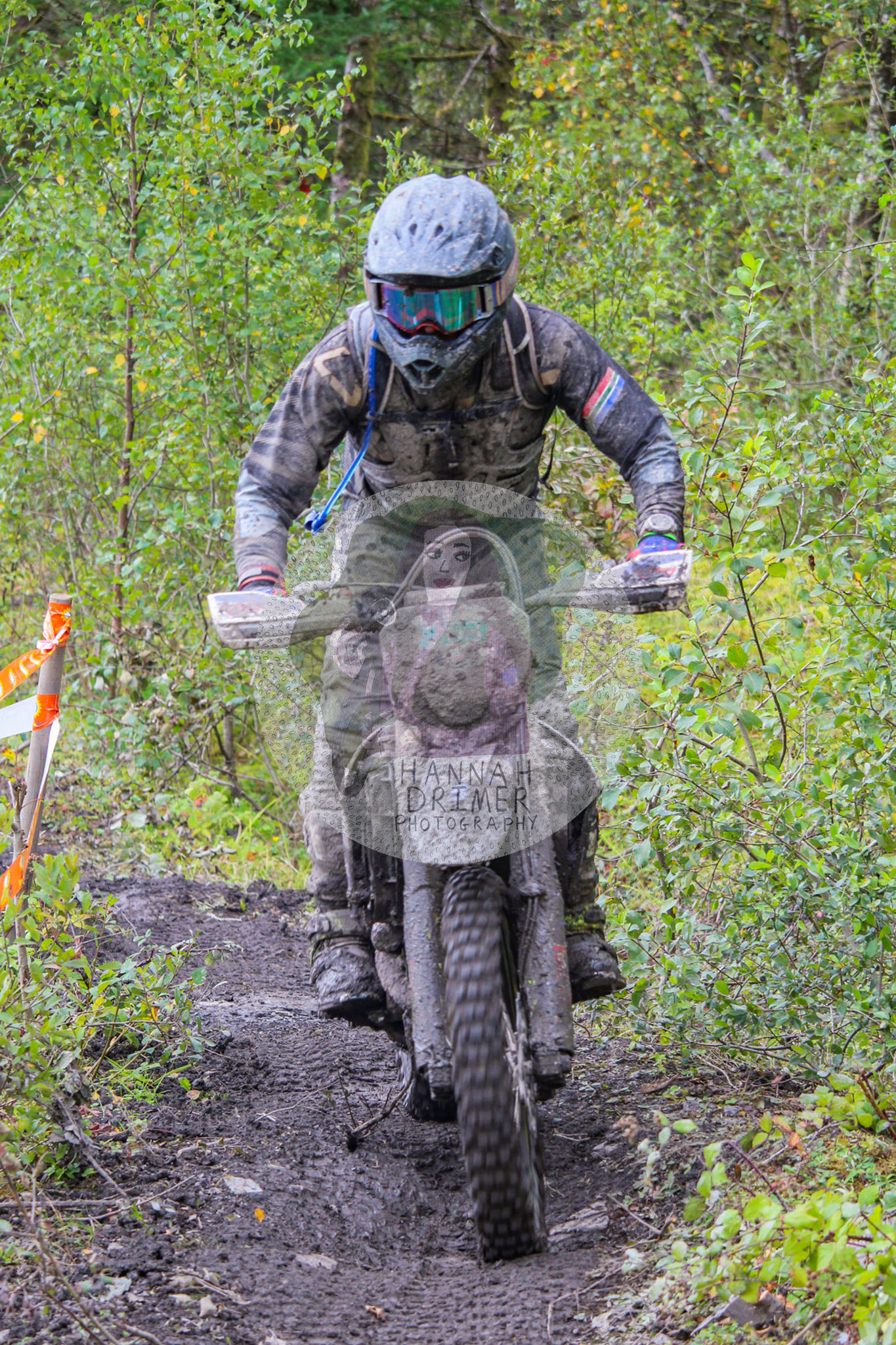 Dawn to Dusk - no. 263