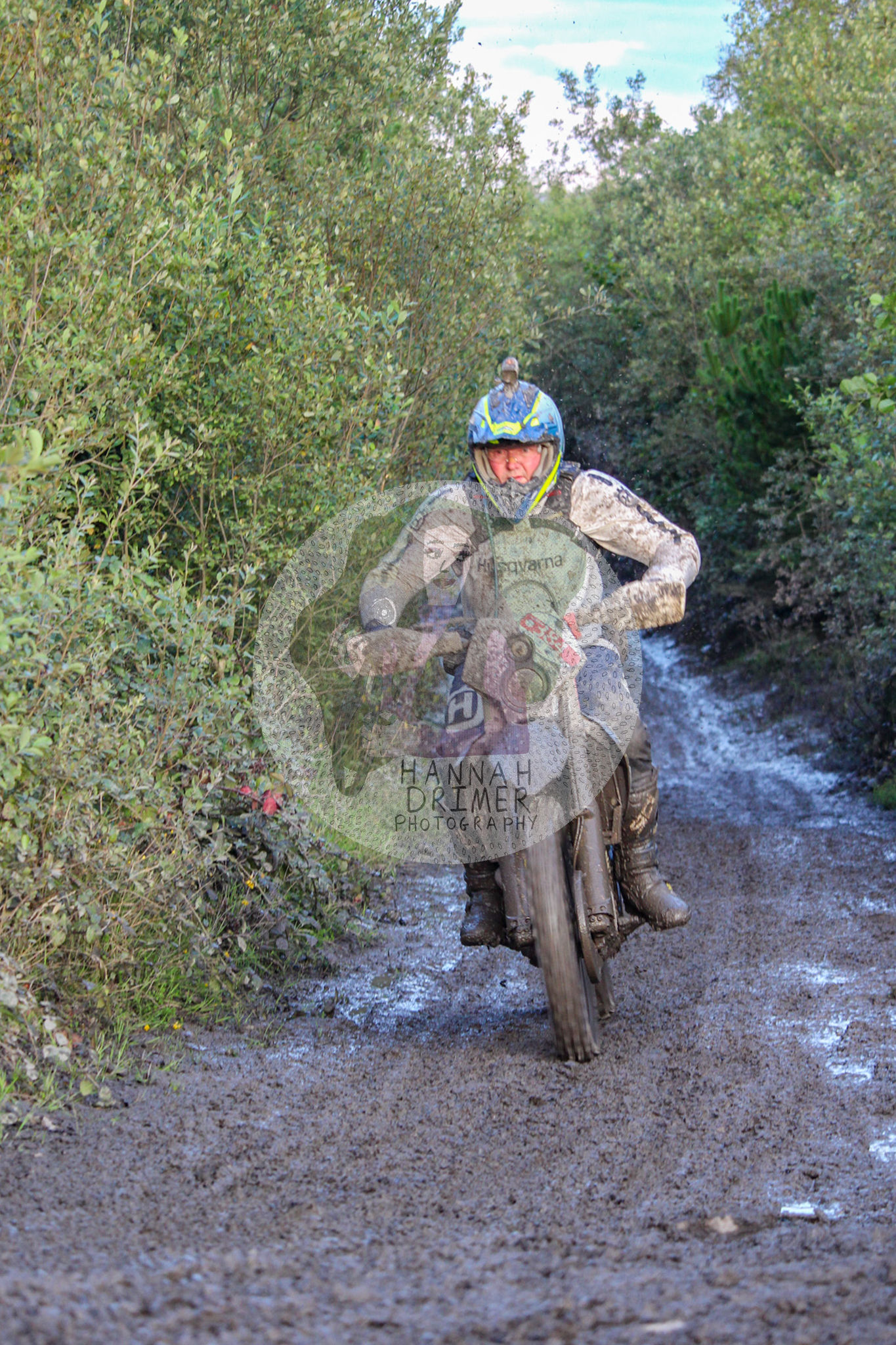 Dawn to Dusk - no. 384