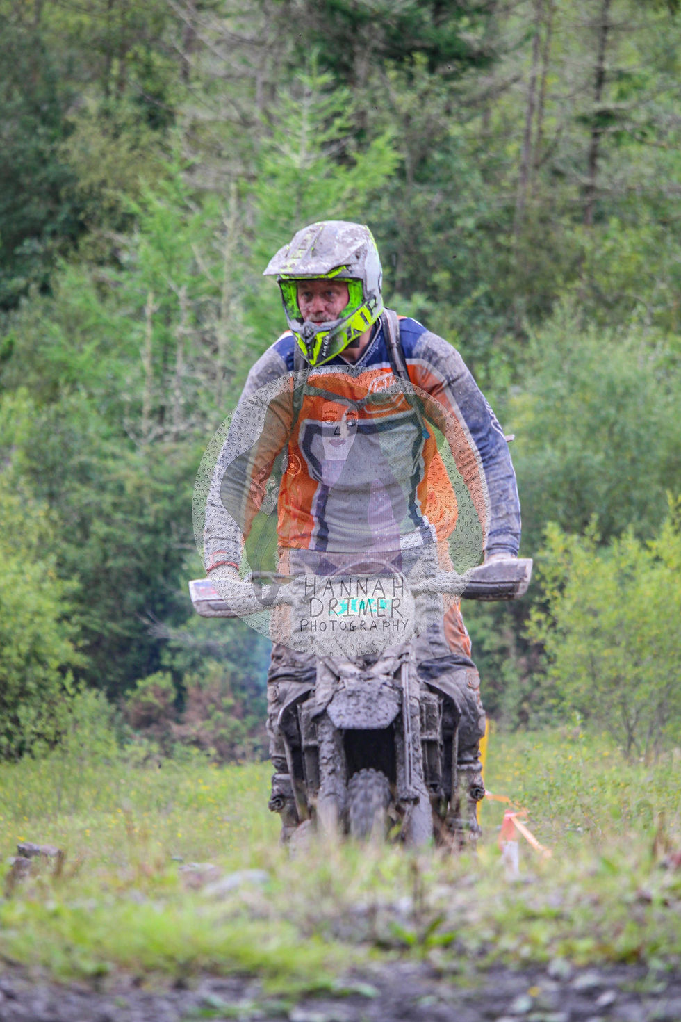 Dawn to Dusk - no. 104