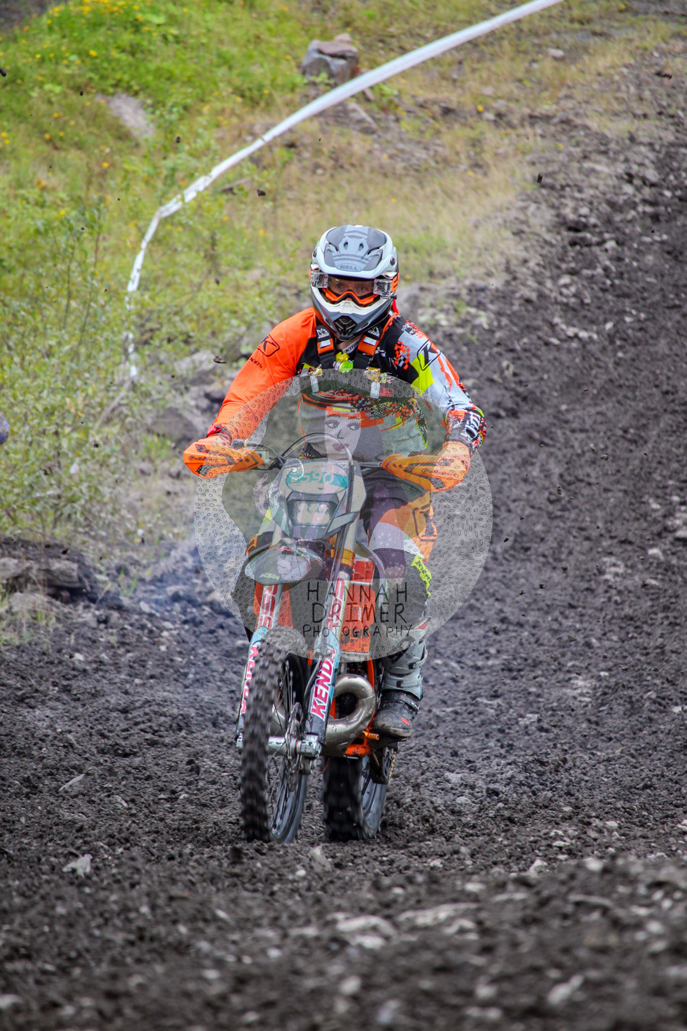 Dawn to Dusk - no. 590