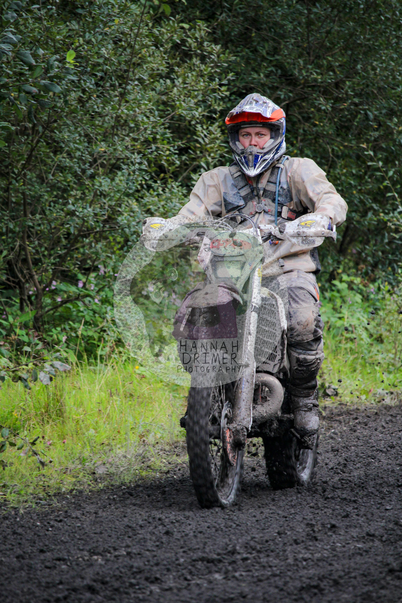 Dawn to Dusk - no. 521