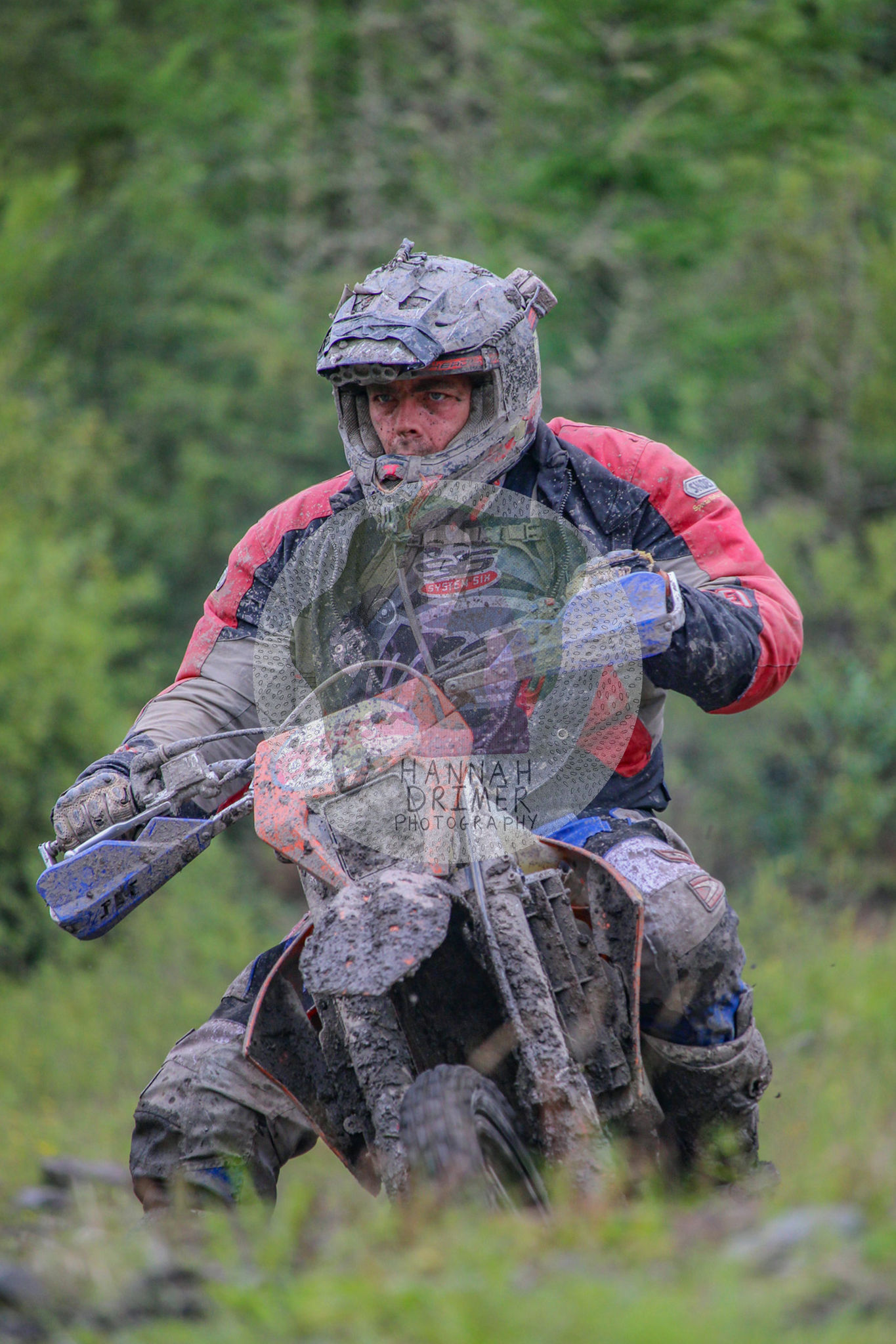 Dawn to Dusk - no. 288