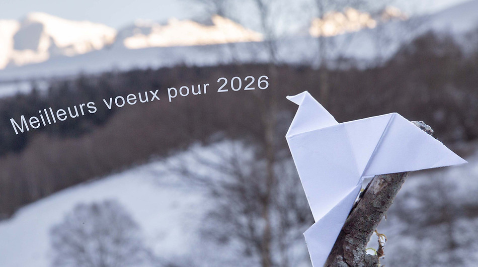 Voeux2026BD.jpg