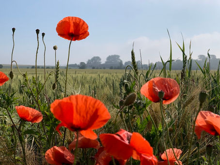 Die Vorteile des Fastens für die Gesundheit