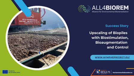 From Lab to Field: How Bioaugmentation Transformed Contaminated Soil in the GREENER Project