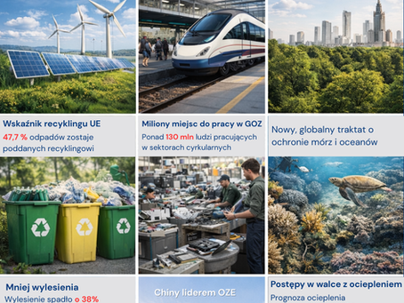 Ciekawostki 2025 roku- podsumowanie pozytywnych zmian na świecie