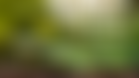 World Soil Day 2025: