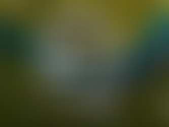 How circular is the Polish economy?