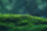 AdobeStock_456455101.jpeg