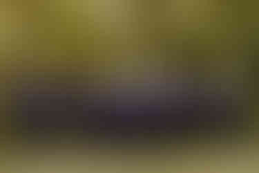 Mountain wedding | West Virginia wedding photographer