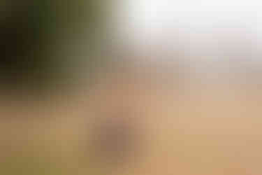 Berry College family session | Atlanta family photographer