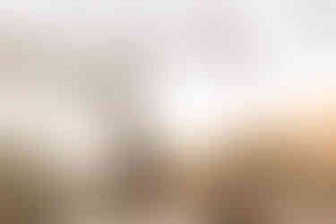 Cloudland Canyon adventure couple session | Georgia couple photographer