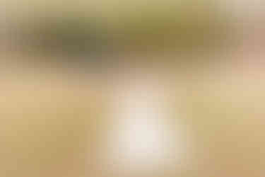 Outdoor Backyard Wedding | Alabama Wedding Photographer