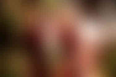 Top fall and winter wedding trends | winter and fall wedding inspiration | Alabama wedding photographer