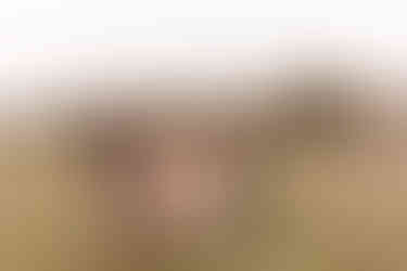 At-home family ranch session | Alabama family photographer