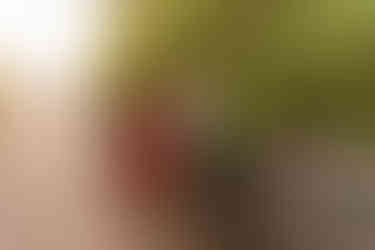 Gulf Shores, Alabama family beach photos | Alabama family photographer