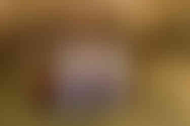 Romantic anniversary session | Alabama couple photographer