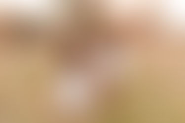 The Kaim Family | Fall Short Story Session | Chickamauga, Georgia Family Photographer