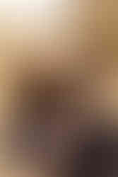 Addams Family-inspired maternity session | Alabama family photographer