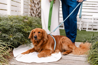 Colorful outdoor wedding | Fairhope wedding photographer