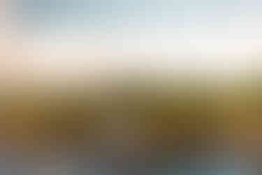 Golden hour maternity session | Alabama maternity photographer