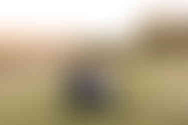 Fort Payne family homestead session | Alabama family photographer