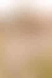 Fall short story session | Chickamauga, Georgia family photographer