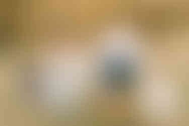 Chickamauga Battlefield family session | North Georgia family photographer