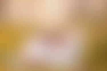 Outdoor family adventure session | Alabama family photographer