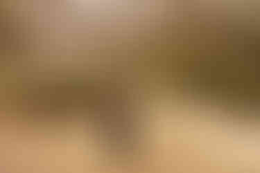 Addams Family-inspired maternity session | Alabama family photographer