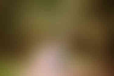 Beachy sunset couple session | Alabama couple photographer