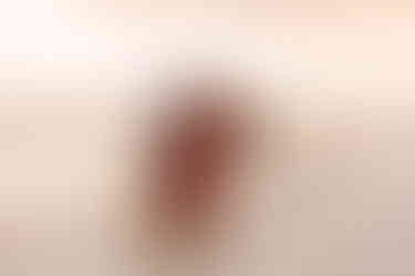 Gulf Shores, Alabama family beach photos | Alabama family photographer