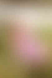 Senior Adventure Session | Alabama Graduation Photographer