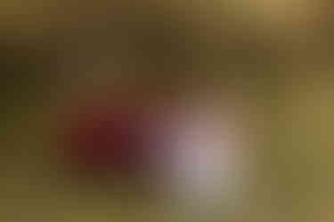 Romantic anniversary session | Alabama couple photographer