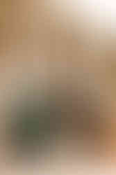 Vote for My Fall Travel Destination | Travel Photographer