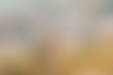 Jenn + Mike | Gatlinburg SkyPark Elopement | Tennessee Wedding Photographer