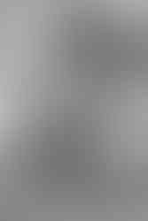 Fort Payne family homestead session | Alabama family photographer