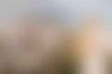 Intimate elopement on Harbor Island | South Carolina wedding photographer