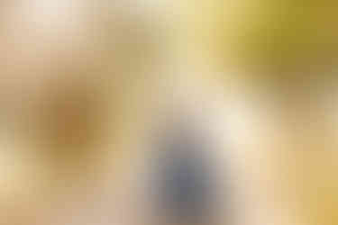 Bridgerton inspired senior session | Fairhope, Alabama senior photographer