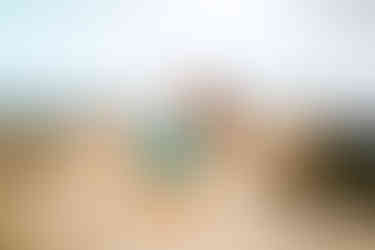 Best Gulf Coast Photo Locations | Gulf Coast Photographer