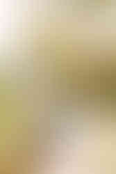 Tropical Jamaica Destination Wedding | Destination Wedding Photographer