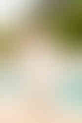 Wedding planning timeline + printable checklist | Alabama, Tennessee, Georgia wedding photographer