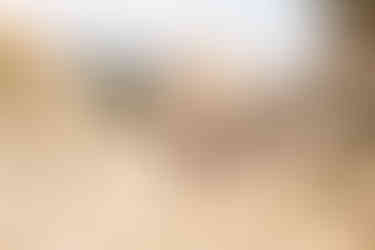 Things to Do in Joshua Tree in 24 Hours | Joshua Tree National Park Guide