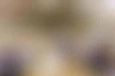 Outdoor Backyard Wedding | Alabama Wedding Photographer