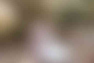 Historic Malbis Nursery moody wedding | Spanish Fort, Alabama wedding photographer