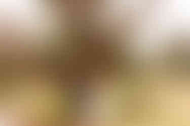 Best of Baldwin 2024 best wedding photographer | Gulf Coast wedding photographer