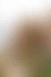 Things to Do in Joshua Tree in 24 Hours | Joshua Tree National Park Guide