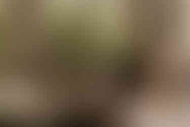 Best Father's Day Instagram captions and quotes | Alabama family photographer